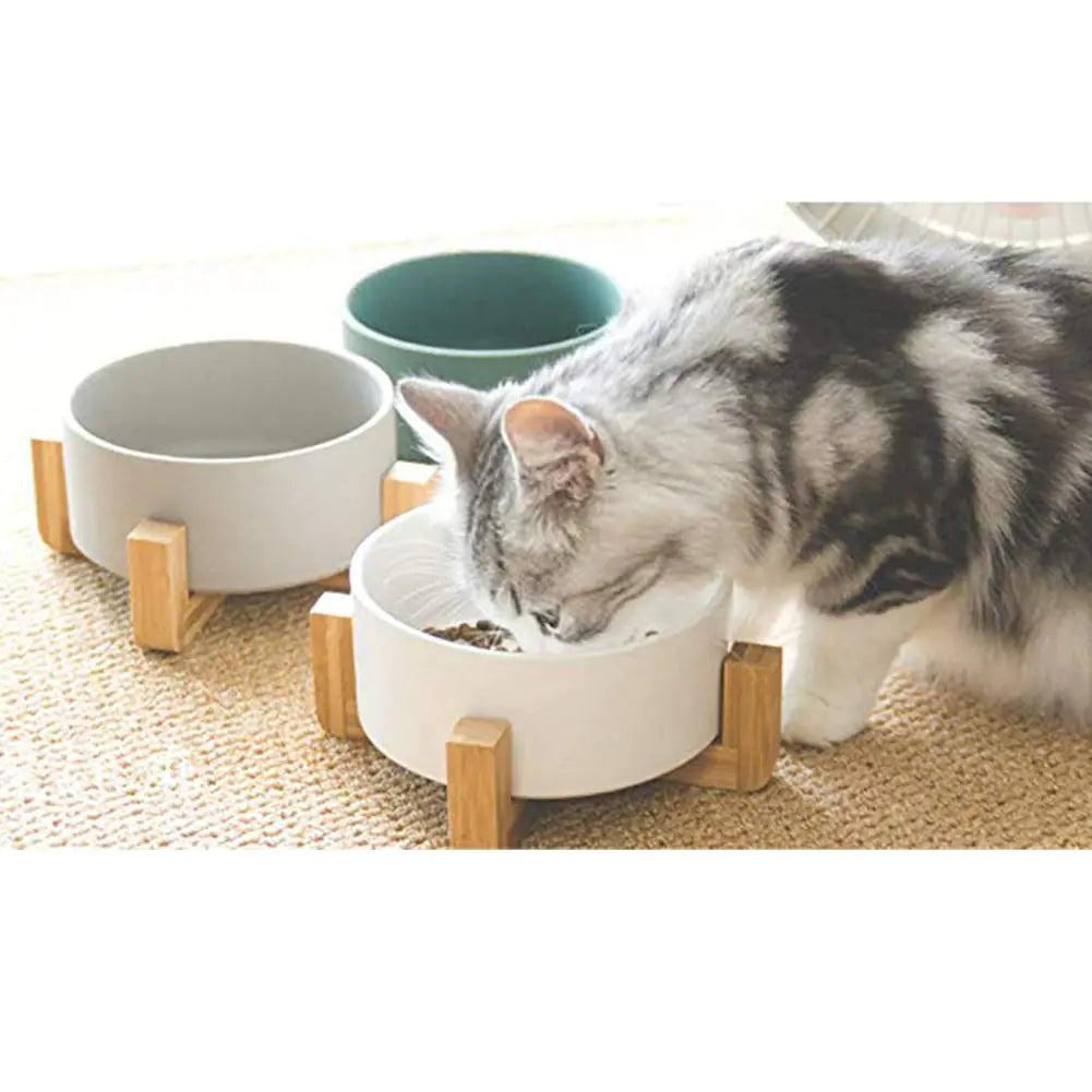 Ceramic Pet Bowl with Wooden Stand and Noodle Bowl
