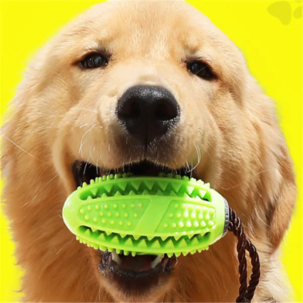 Dog Chew Toy with Treat Dispensing Feature