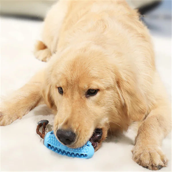 Dog Chew Toy with Treat Dispensing Feature