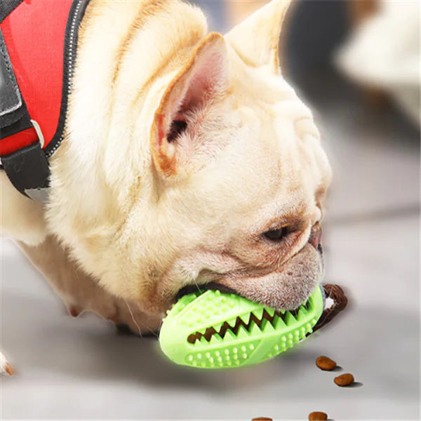 Dog Chew Toy with Treat Dispensing Feature