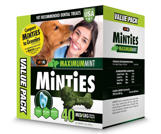 VetIQ Minties Dog Dental Bone Treats Dental Chews for Dogs (Perfect for Medium / Large Dogs over 40 lbs)
